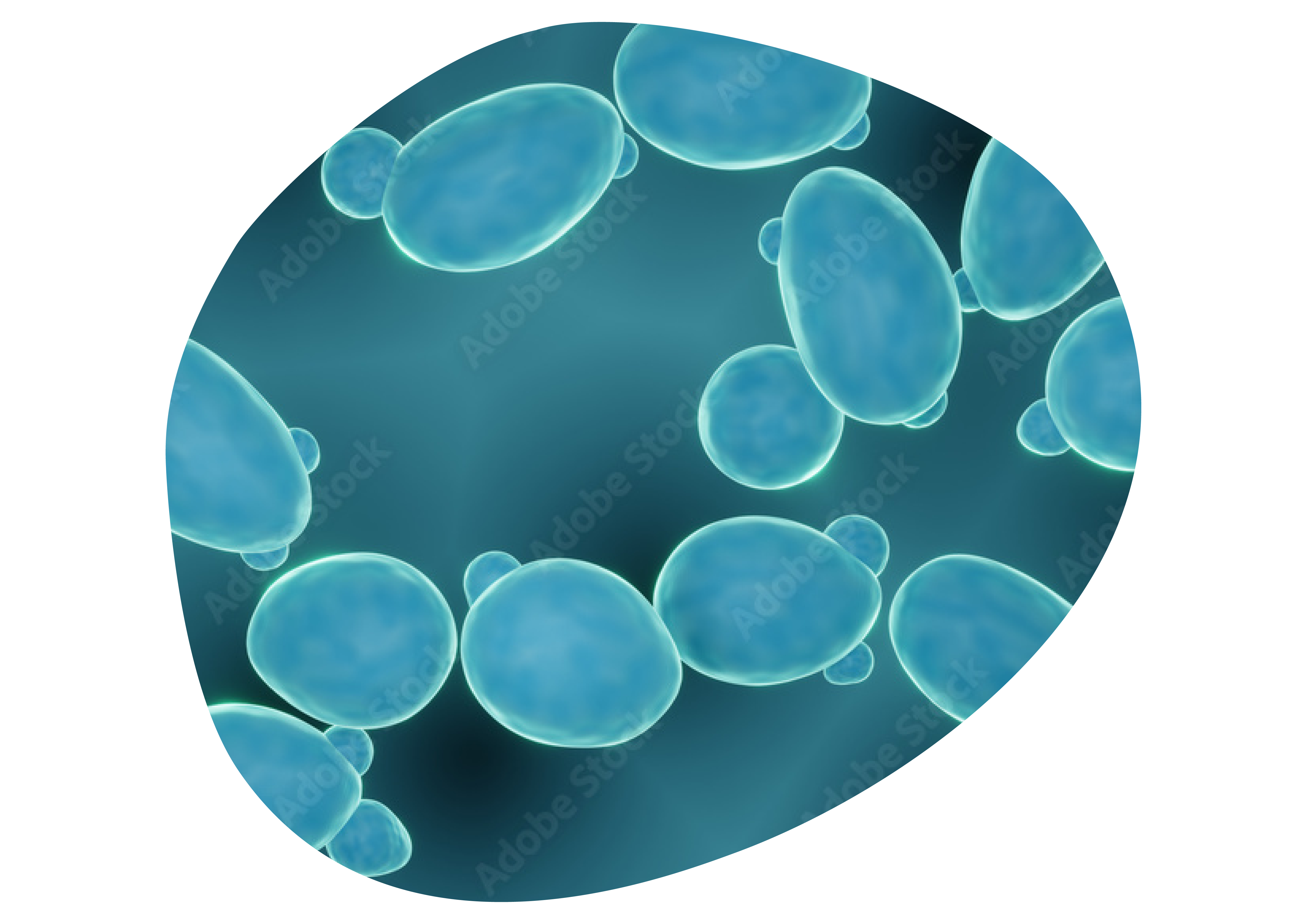 Saccharomyces boulardii CNCM I-745